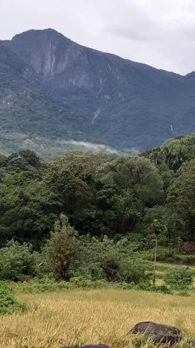a field of grass with a mountain in the background at Abimansala Resort in Hunnasgiriya
