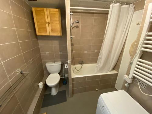 une petite salle de bain avec toilettes et douche dans l'établissement Studio spacieux au cœur de Châtel, proche télécabine Super-Châtel, tout confort - FR-1-693-102, à Châtel