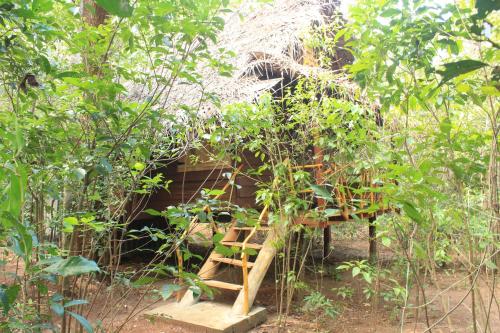 Forest Camping Tree House – Photos 2
