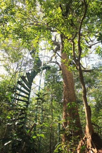 Forest Camping Tree House – Photos 3