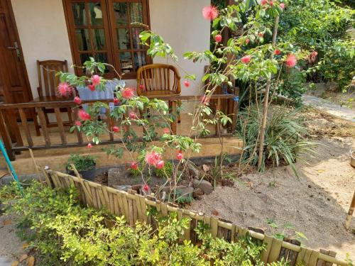 a garden with pink flowers and a wooden fence at Arnel Bungalows in Senggigi 