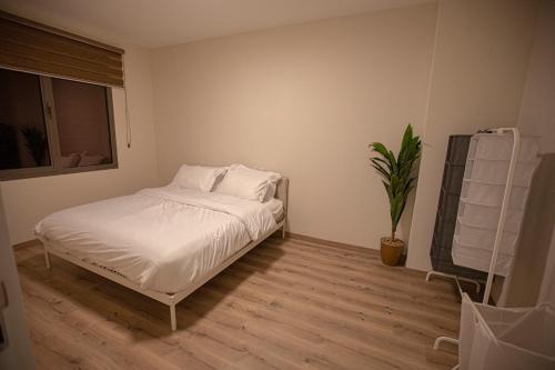 Classy room