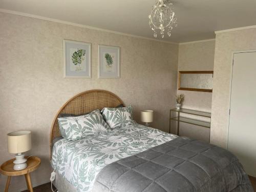 a bedroom with a bed and a chandelier at POHUTUKAWA PLACE in Matamata