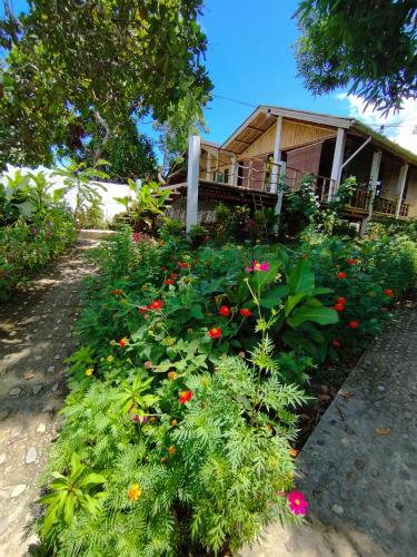 Κήπος έξω από το Ocean Green Eco Lodge