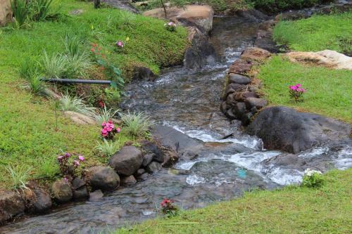 a stream with rocks and flowers in a garden at World's End Base Eco-Village in Belihul Oya