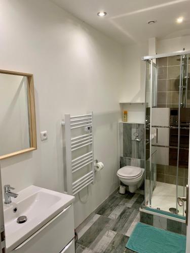 une salle de bain avec toilettes, lavabo et douche dans l'établissement Le passage de Hugues - 3 chambres - hyper centre, à Troyes