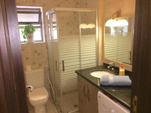 y baño con aseo, lavabo y ducha. en Royal Luxury Apartments & Studios 2 en Amán