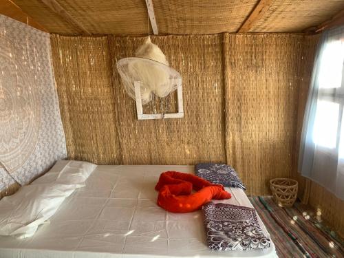 Postel nebo postele na pokoji v ubytování Alwaha Camp