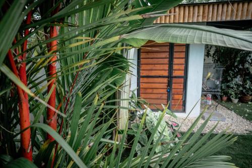 a small building with a window in a garden at Tana Mysterious garden in Panglao