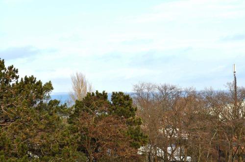 een groep bomen met een televisietoren op de achtergrond bij Carpe Diem Ferienwohnung Nr 187 Meerblick in Niendorf