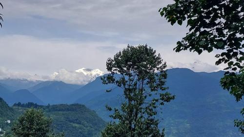 a tree in the foreground with mountains in the background at Norbulingka Retreat in Gyalzing