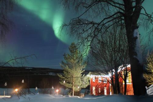 Una aurora brilla en el cielo sobre una casa en Cozy Zweeds huis met openhaard en grote tuin, en Ramsele