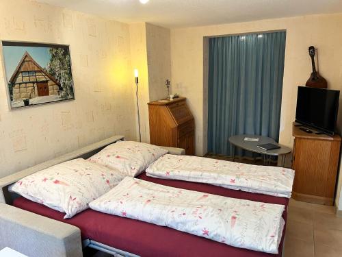 a room with two beds and a television in it at Haus Dulshorn Bremen in Bremen