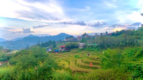 a field on a hill with mountains in the background at Pea homestay in Sa Pa