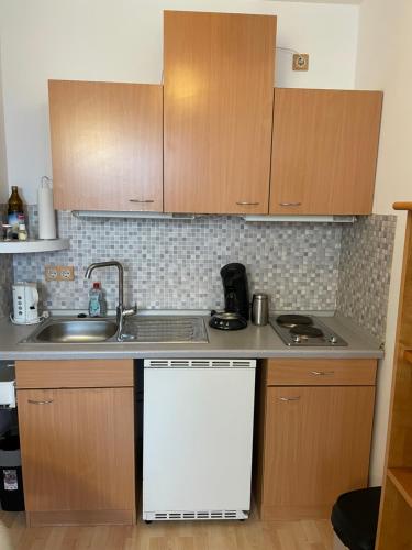 A kitchen or kitchenette at Ruhige, gemütliche 1-Zimmer-Wohnung nahe FFM