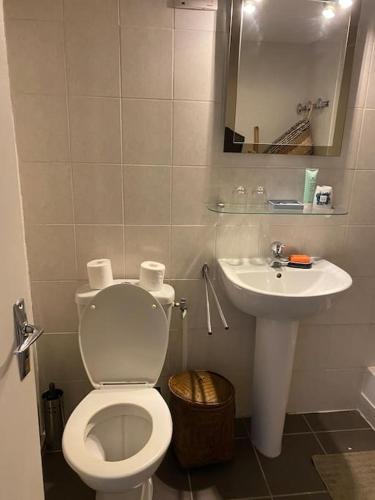 La salle de bains est pourvue de toilettes et d'un lavabo. dans l'établissement Appartement Cosy Villieu, à Villieu
