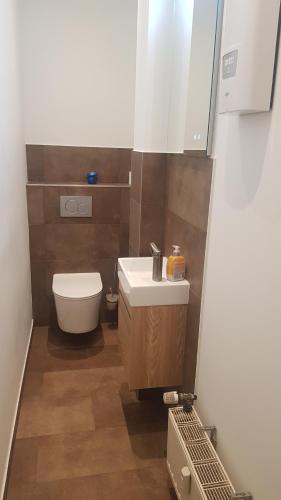 een kleine badkamer met een toilet en een wastafel bij Rockys Ferienwohnung Mitte in Markkleeberg