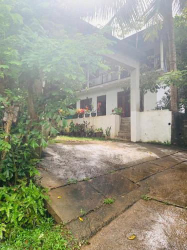 Zahrada ubytování Villa33