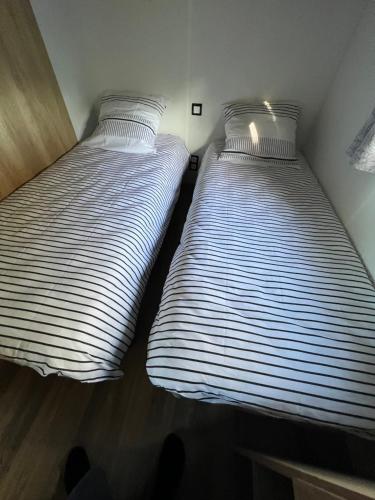 zwei Betten nebeneinander in einem Zimmer in der Unterkunft Chez Vane et JP in Lège-Cap-Ferret