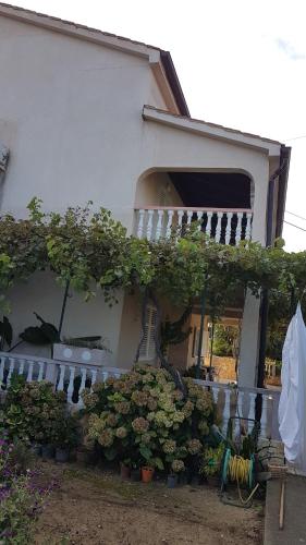 a house with plants and flowers in front of it at Apartmani Roza Lopar in Lopar