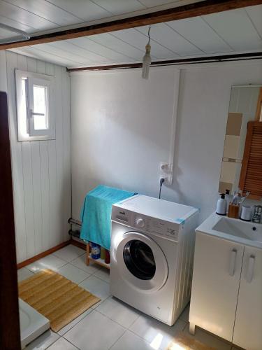 una lavadora en una cocina con fregadero en Case créole en Saint-Pierre