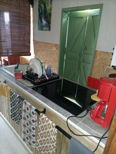 encimera de cocina con fregadero y armario verde en Case créole en Saint-Pierre
