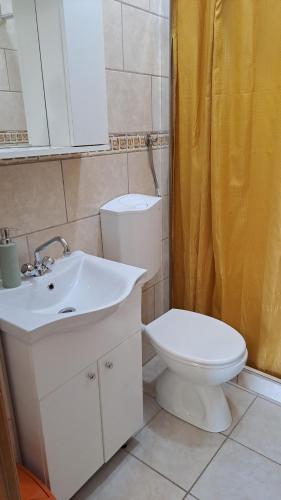 a bathroom with a sink and a toilet and a shower at Relaxing Beach holiday house in Hvar
