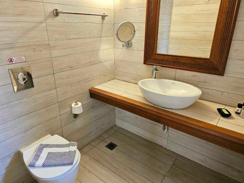 a bathroom with a sink and a toilet and a mirror at Meltemi Village Hotel in Perissa