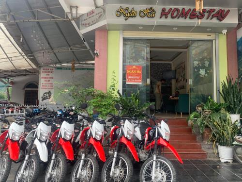 una fila de motocicletas estacionadas frente a un edificio en Ngan Ha Homestay en Ha Giang