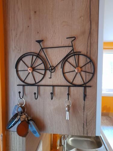 un vélo suspendu sur un mur au-dessus d'un évier dans l'établissement Le Bouquetin, à Entremont