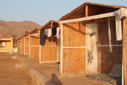 a row of wooden huts on a street at Alwaha Camp in Nuweiba