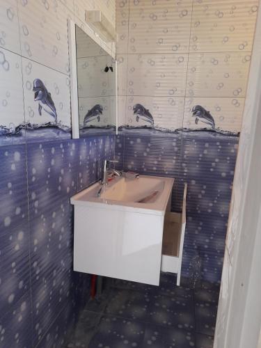baño con lavabo y espejo con aves en la pared en Cœur d'or Sada, en Sada