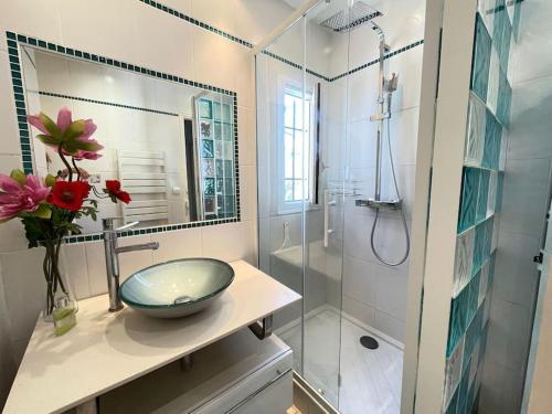 y baño con lavabo y ducha acristalada. en Maison des Oliviers : Maison 5 Prs, 400m plages, en Antibes