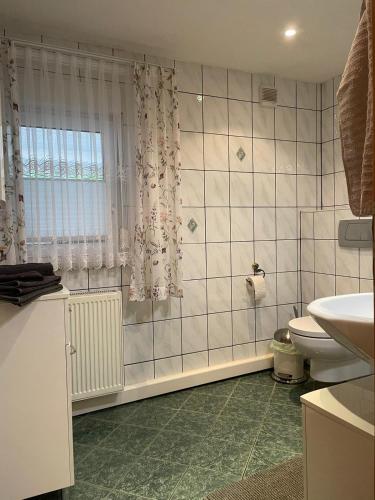 a bathroom with a shower and a toilet and a sink at Ferienwohnung Seewaldhof in Lauchhammer