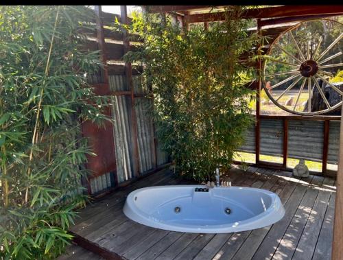 a bath tub sitting on a deck with a tree at Mudstone Suites in Pemberton