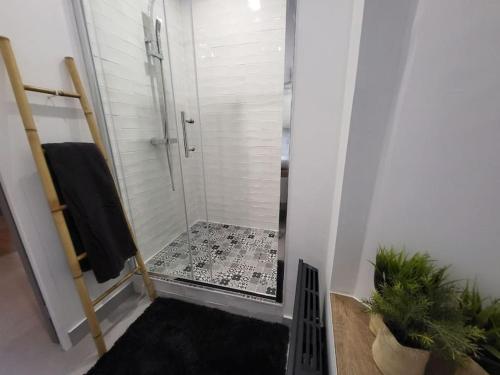 a bathroom with a shower with a glass door at Ô Bon'Endroit - Appartement Confort - Centre Ville in Vienne