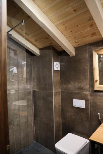 a bathroom with a shower and a toilet at Sofra Kolonjare in Ersekë