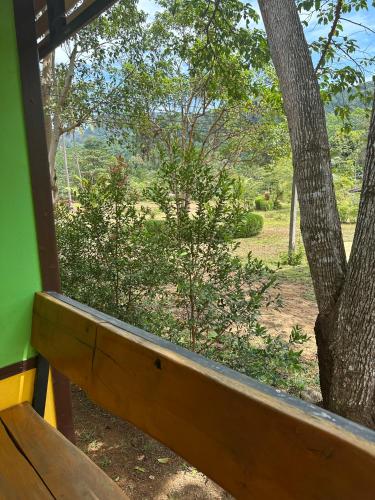 a window with a view of a tree at Fine Times Resort in Ko Chang