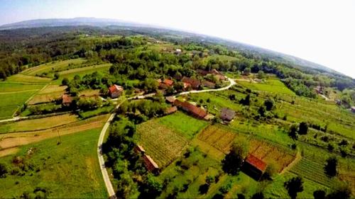an aerial view of a green field with trees at Kokotova hiža in Gornja Konjšćina