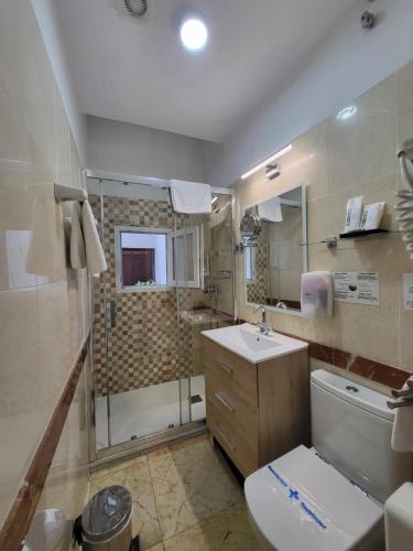 a bathroom with a toilet and a sink and a shower at Casona de San Andrés in Seville