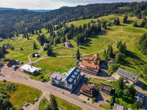 an aerial view of a small village in the mountains at Apartment 104 in Feldberg