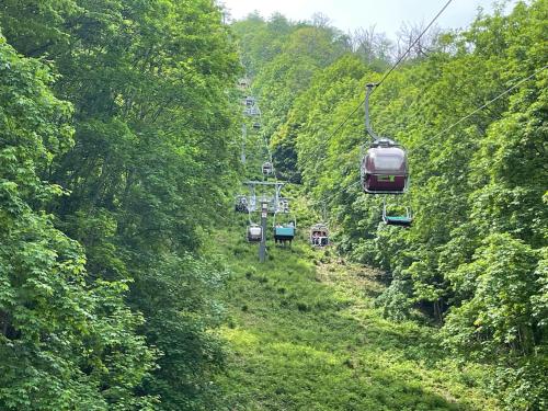 a group of gondolas going down a hill at Harzhotel Warnstedter Krug in Thale