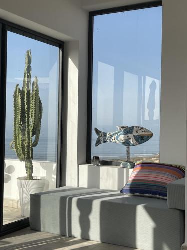 a bedroom with a cactus and a bed and a window at Dar Bouba, Cap Sim : la maison sur l'Océan in Wassane