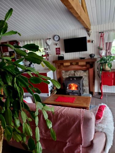 TV a/nebo společenská místnost v ubytování Namaste Gîte