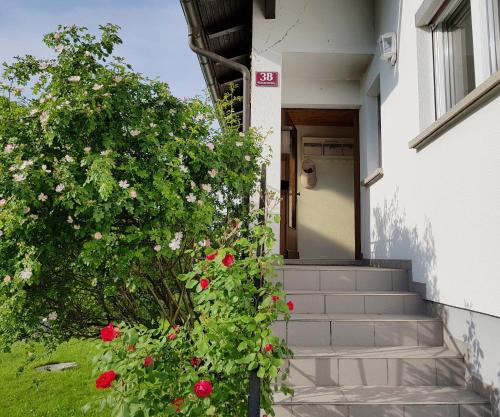 Zahrada ubytování Haus am Bodensee
