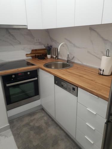 Kuchyň nebo kuchyňský kout v ubytování Apartman Ada Banja Luka