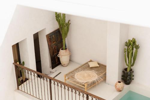 Riad La Lumière d'Étoile في مراكش: شرفة بالنباتات وطاولة في الغرفة