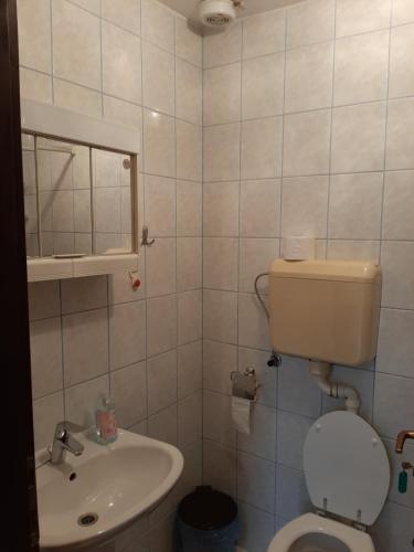 a bathroom with a toilet and a sink at House Janja Plitvice in Seliste Dreznicko