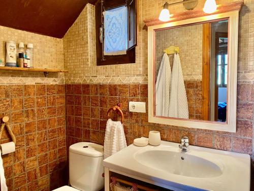 uma casa de banho com um lavatório, um WC e um espelho. em La Casita de Chocolate - CASA rural en el Bierzo em Ponferrada