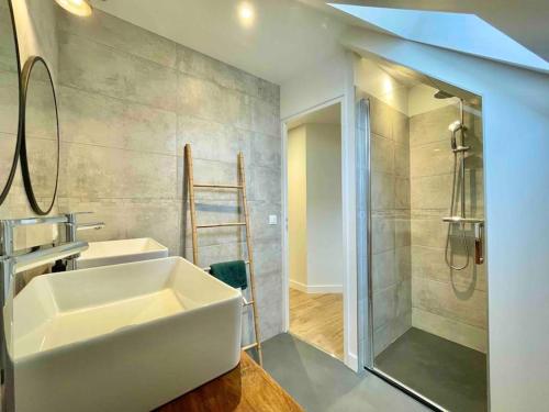 La salle de bains est pourvue d'un lavabo et d'une douche. dans l'établissement Kérélé, à Saint-Pierre-Quiberon